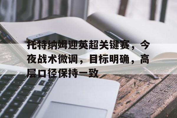 KAIYUN SPORTS-托特纳姆迎英超关键赛，今夜战术微调，目标明确，高层口径保持一致的简单介绍